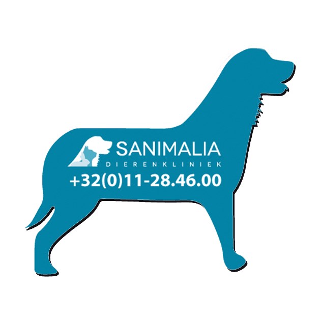 Full Color bedruckte Kühlschrank- & Werbemagnete  45 cm2