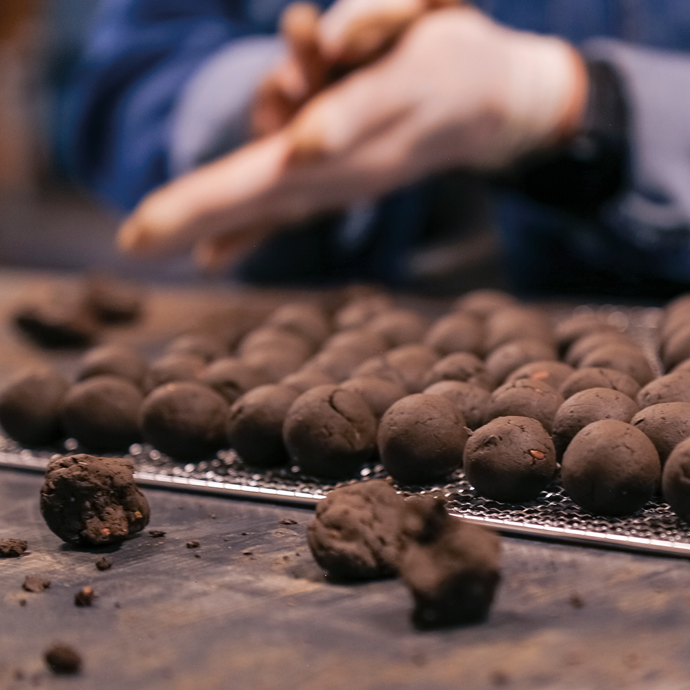 10er Samenkugeln – Koro