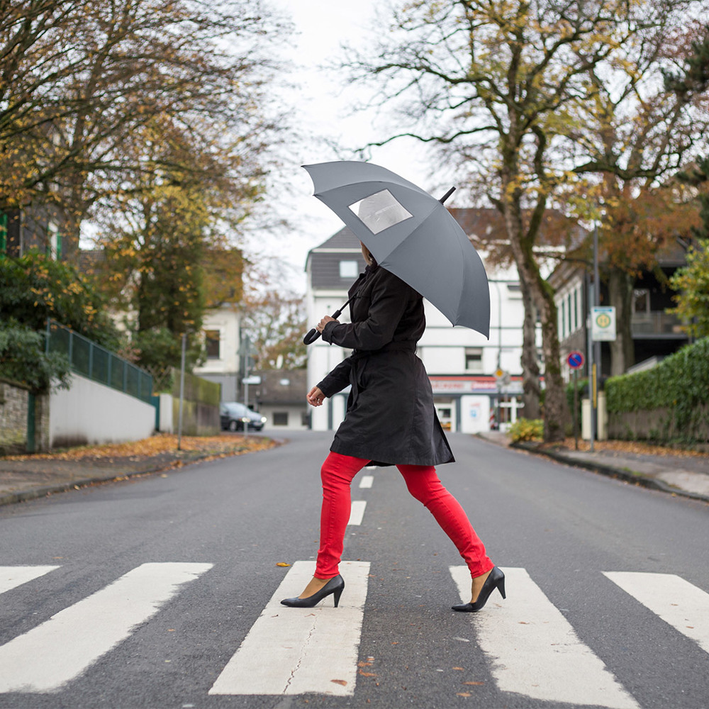 1119 AC-Stockschirm FARE® View