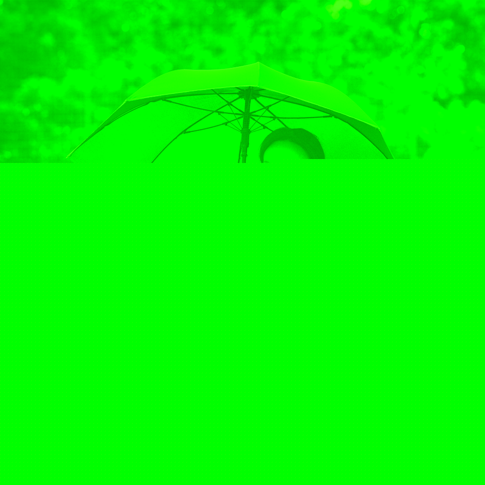 1744 Stockschirm FARE® AC